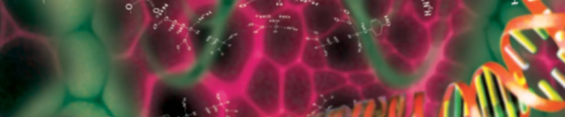 CANNABOOST 测试结果