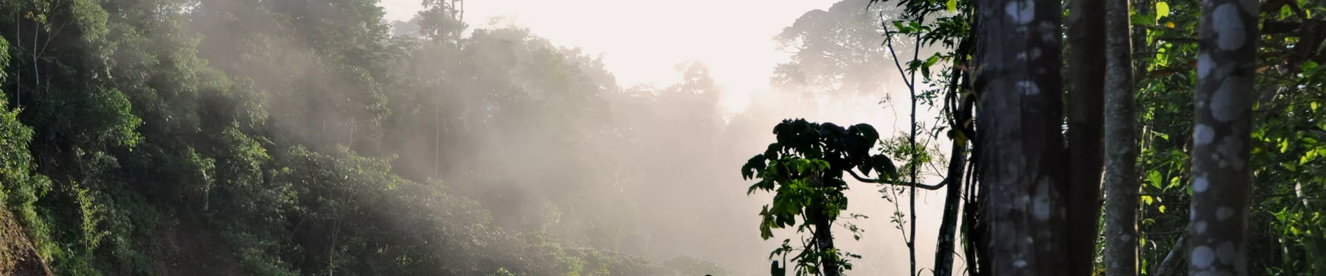 让温度助力成功栽培