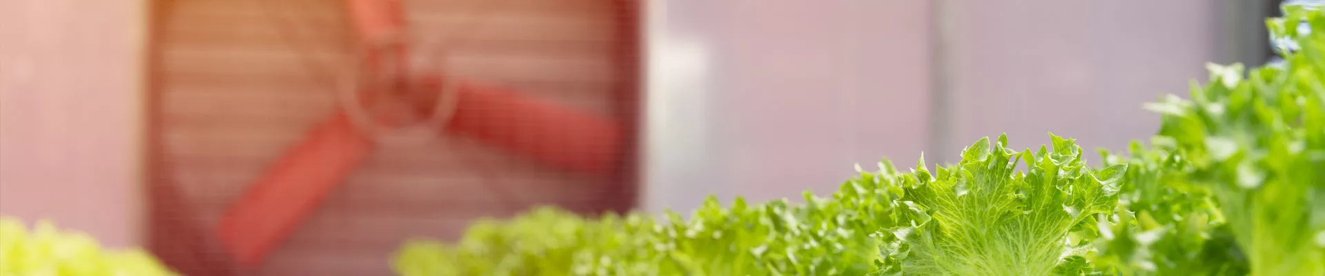 通风的基本原则