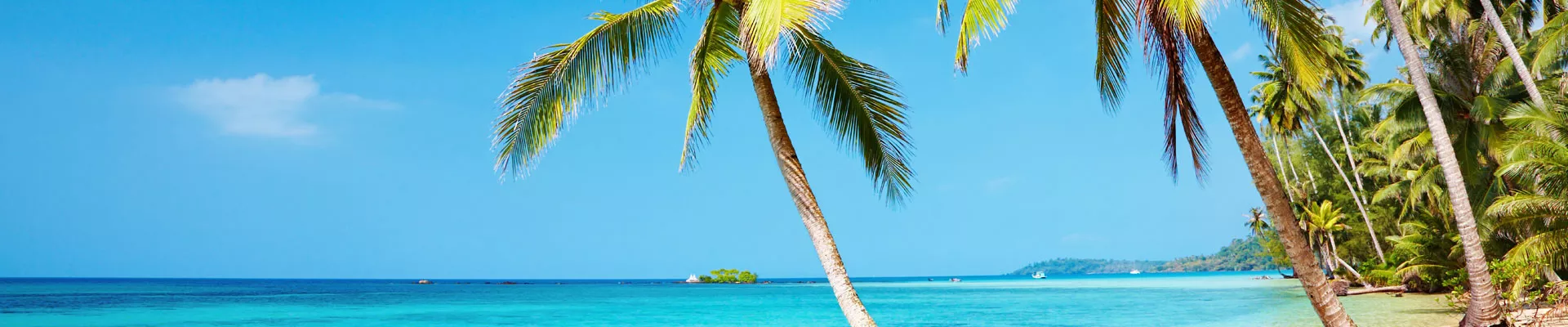 椰糠基质栽培中的问题处理