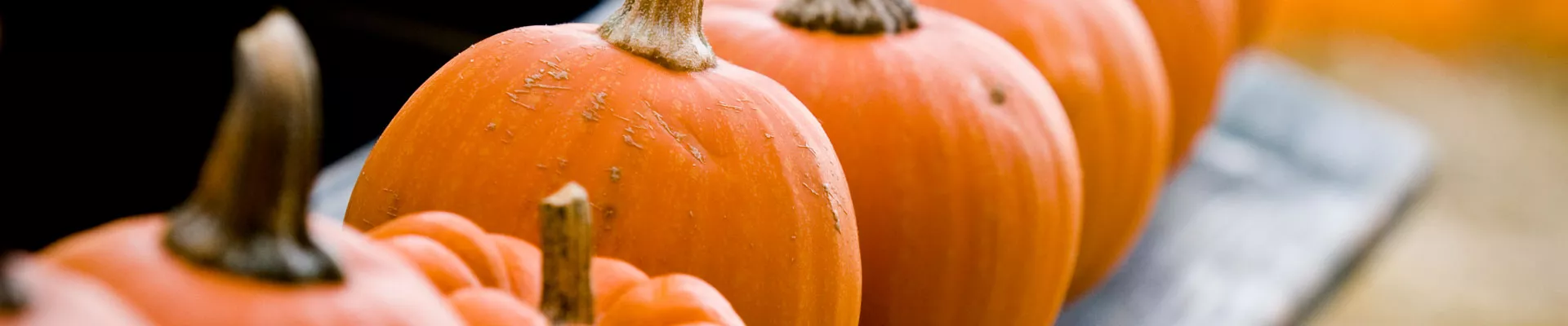 试试自己种南瓜吧