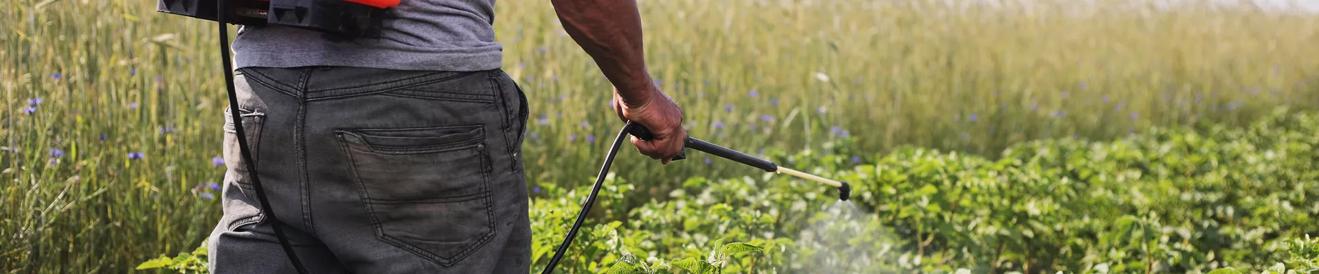 不同的植物保护产品——第二部分