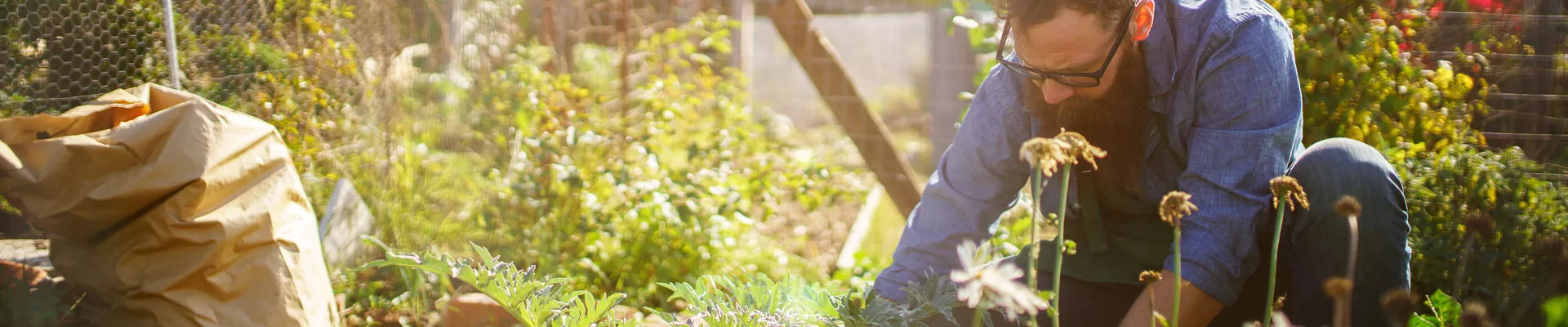 什么是有机种植，为什么要有有机种植第二部分