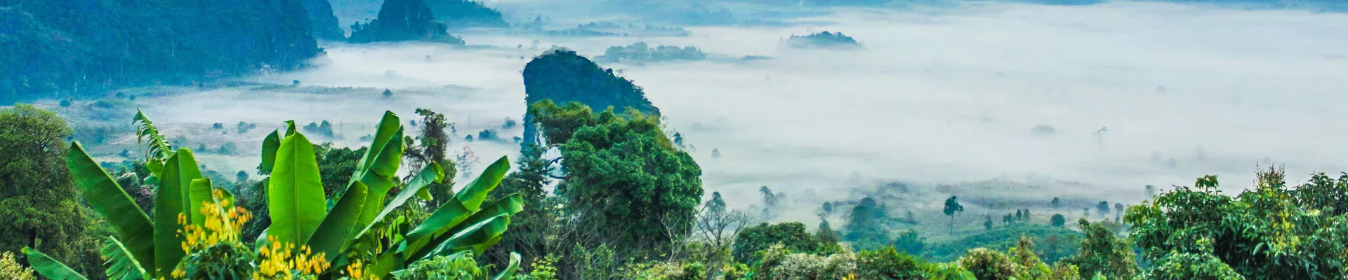 Plant Environment - Part 1