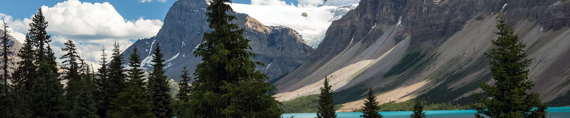 Plant Environment - Part 2