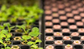 New Hydroponic Venture with THE FARM CLUB by Agrician