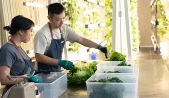 New Hydroponic Venture with THE FARM CLUB by Agrician