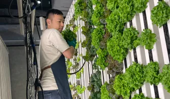 New Hydroponic Venture with THE FARM CLUB by Agrician