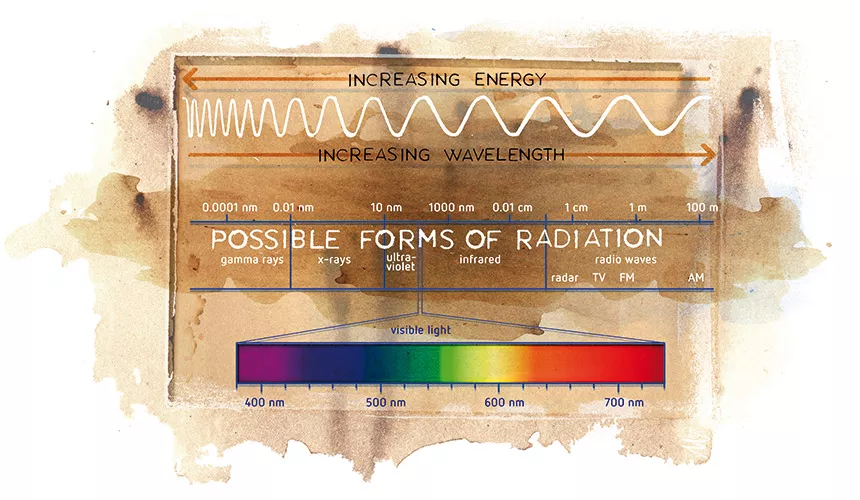 光谱对植物生长的作用