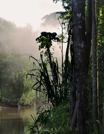让温度助力成功栽培