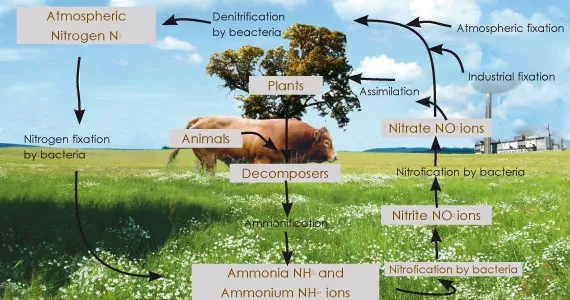 有机种植，才有好味道