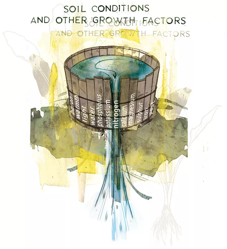 植物营养与营养缺乏