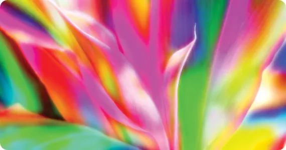 光的颜色对植物的影响