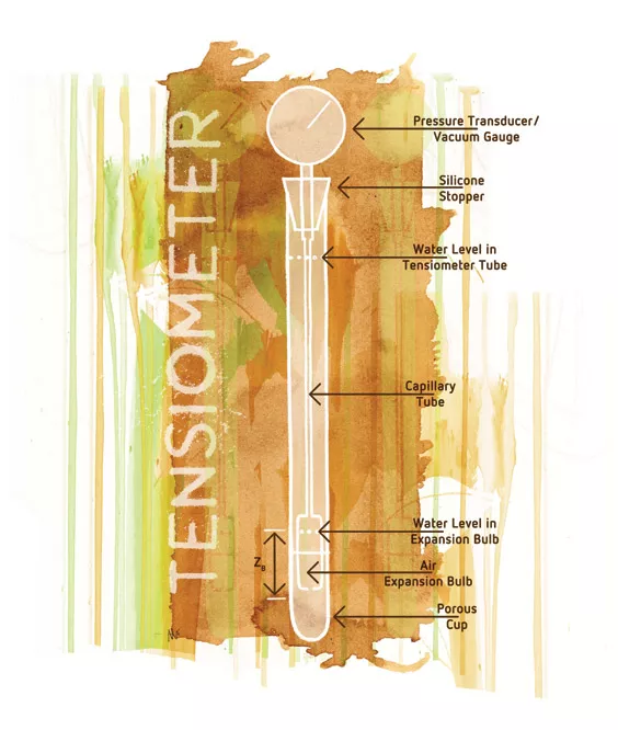 椰糠基质栽培中的问题处理