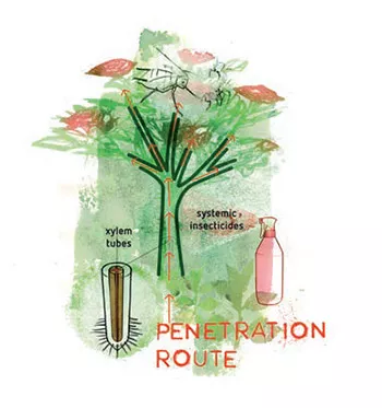 不同的植物保护产品——第一部分