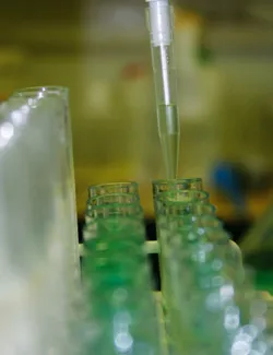 什么是有机种植，为什么要有有机种植第二部分