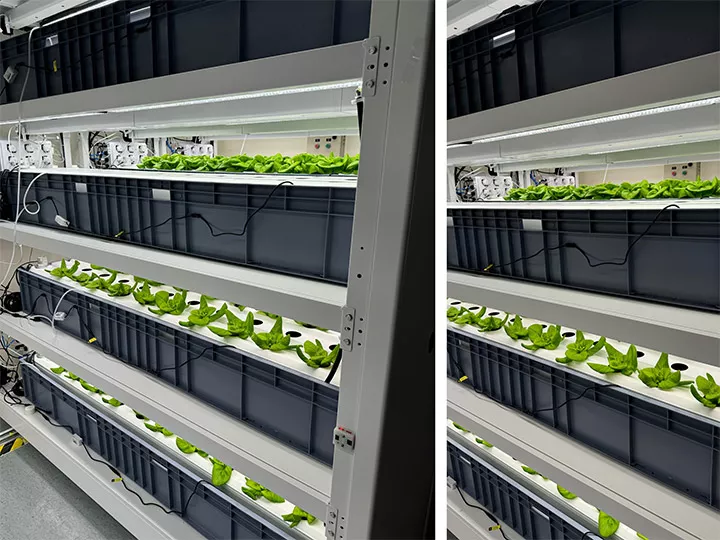 CANNA Partners with Polytechnic University & Government for Scientific Research