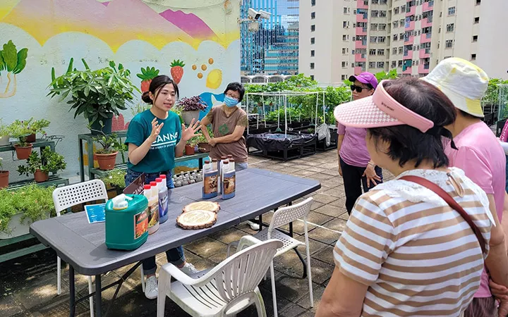 Crops Grown with BIOCANNA for Hong Kong Elderly Services