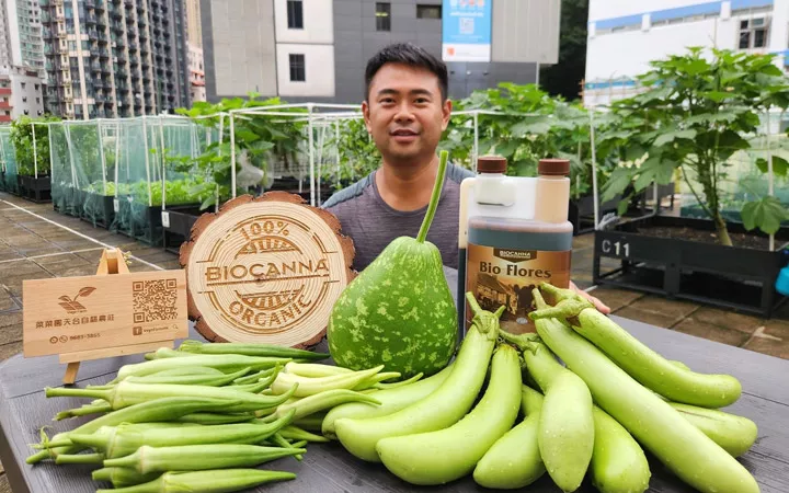 Crops Grown with BIOCANNA for Hong Kong Elderly Services