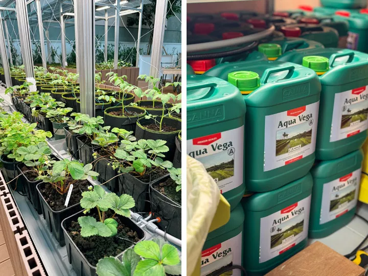 Shaping a New Vision for Green Buildings in Hong Kong