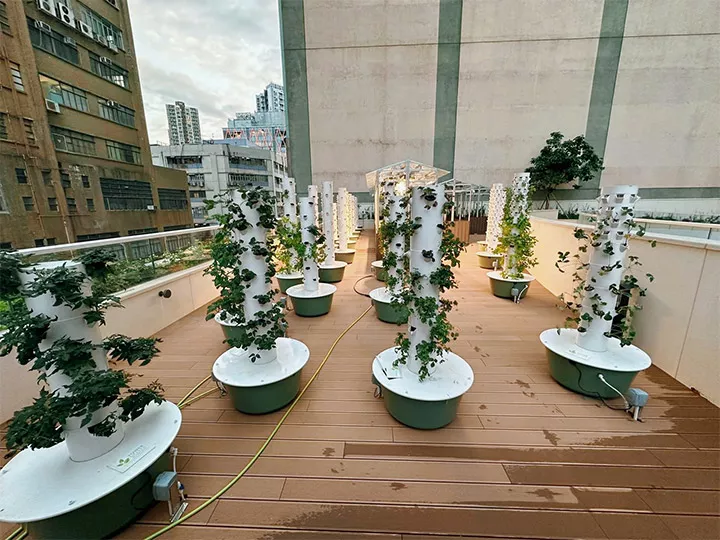 Shaping a New Vision for Green Buildings in Hong Kong