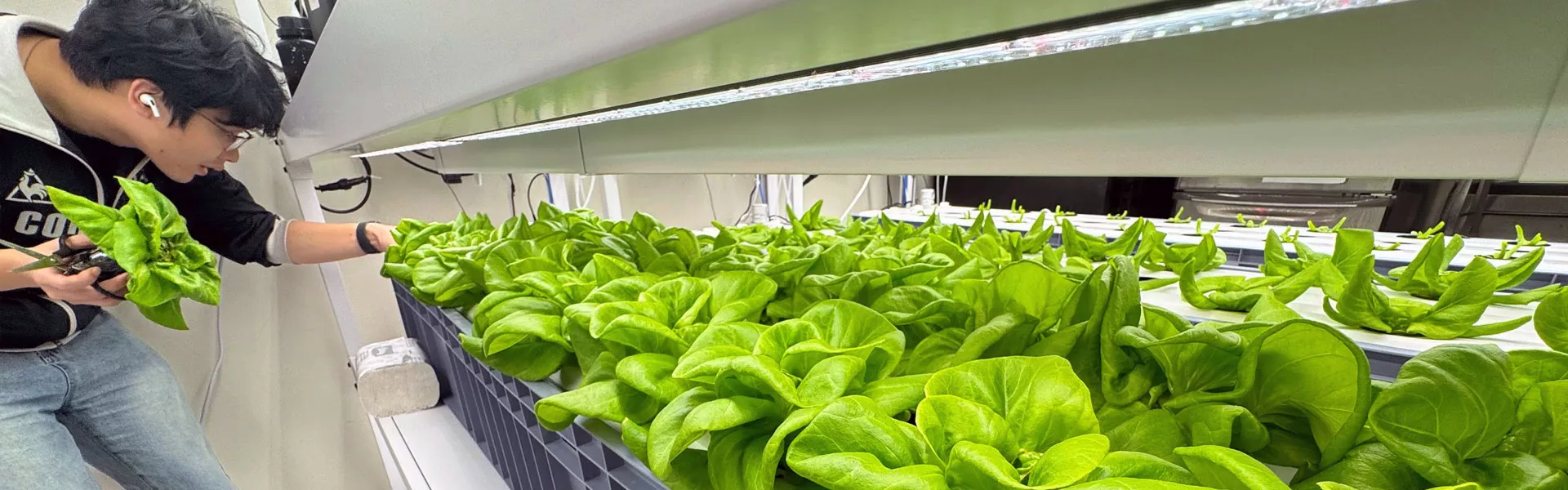 CANNA Partners with Polytechnic University & Government for Scientific Research