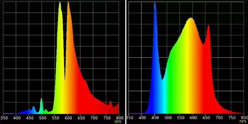 Adapting to new lights – no special bottle necessary