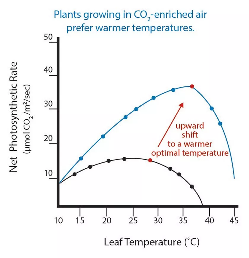 Adapting to new lights – no special bottle necessary