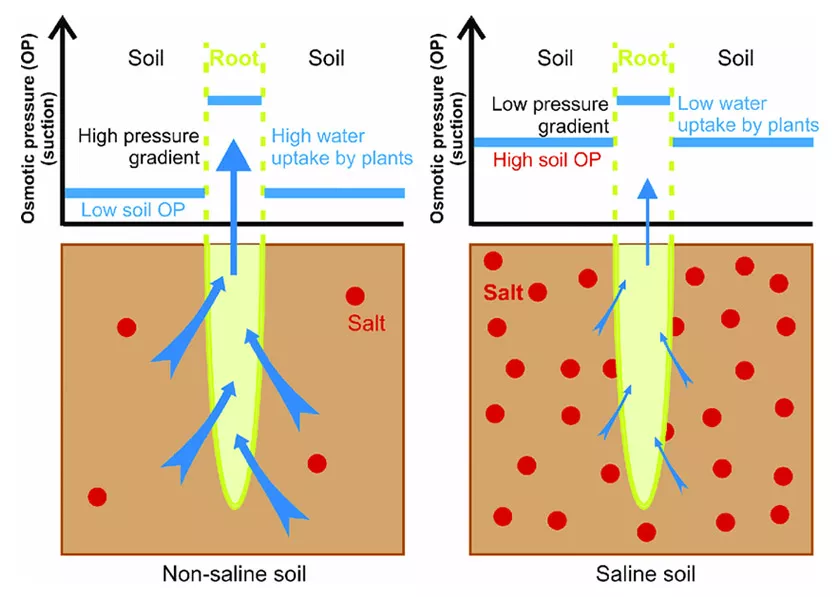 How to use all the tools in your toolbox with plant steering