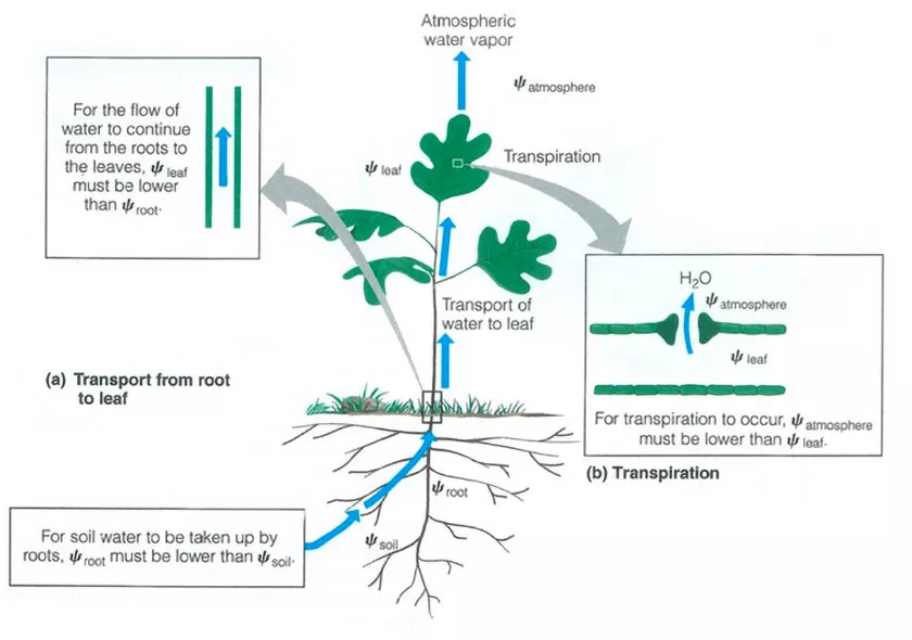 How to use all the tools in your toolbox with plant steering