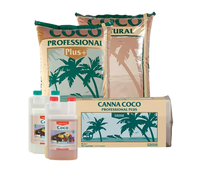 CANNA COCO