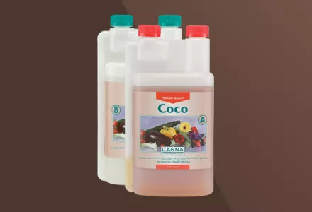 CANNA Coco A & B
