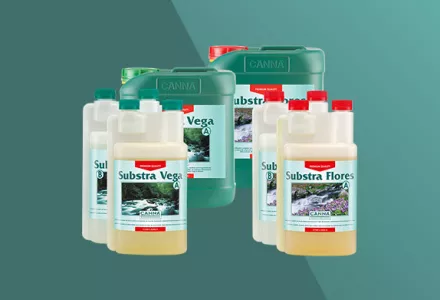 CANNA SUBSTRA