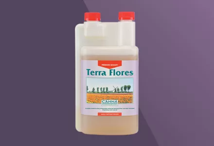 CANNA Terra Flores