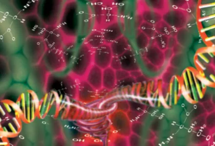 CANNABOOST 测试结果