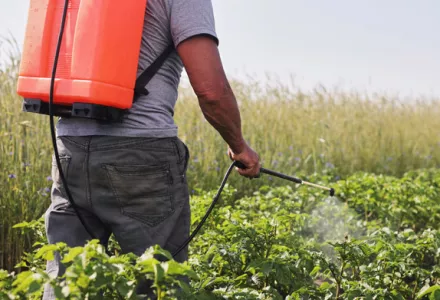不同的植物保护产品——第二部分