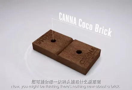 CANNA Coco Brick