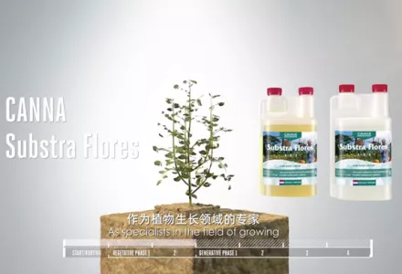 CANNA Substra Flores