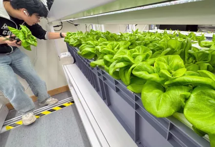 CANNA Partners with Polytechnic University & Government for Scientific Research