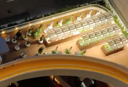 Shaping a New Vision for Green Buildings in Hong Kong