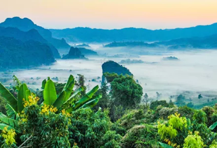 Plant Environment - Part 1