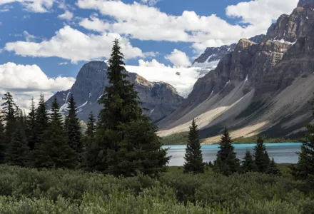 Plant Environment - Part 2