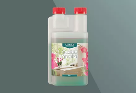 CANNA Orchid Special