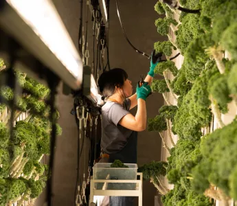 New Hydroponic Venture with THE FARM CLUB by Agrician