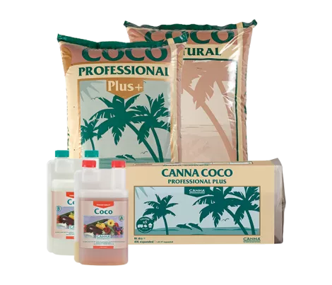 CANNA COCO