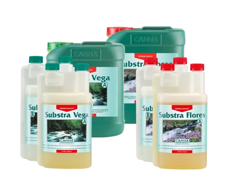 CANNA SUBSTRA